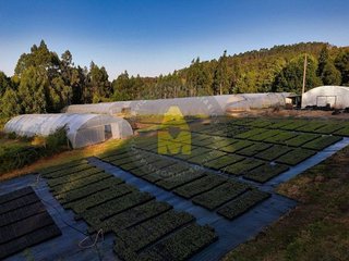 Terreno en venta en Pontes de García Rodríguez (As)