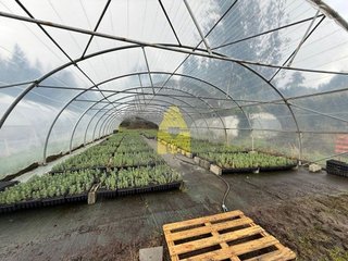 Terreno en venta en Pontes de García Rodríguez (As)