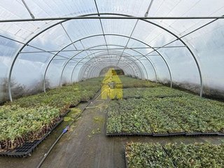 Terreno en venta en Pontes de García Rodríguez (As)