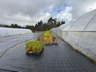 Terreno en venta en Pontes de García Rodríguez (As)