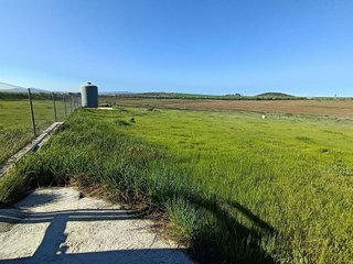 Terreno en venta en Este en Mérida