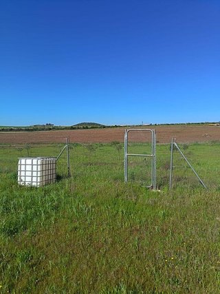 Terreno en venta en Este en Mérida