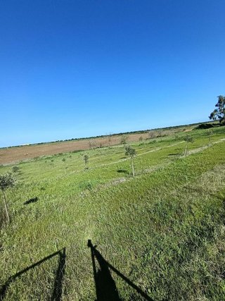 Terreno en venta en Este en Mérida