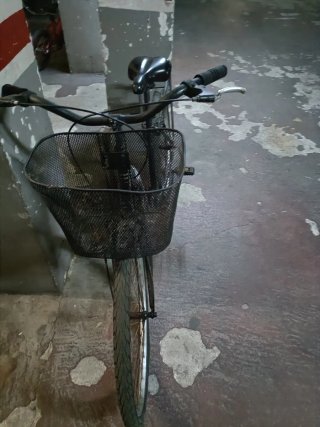 Bicicleta mujer con cesta y transportín