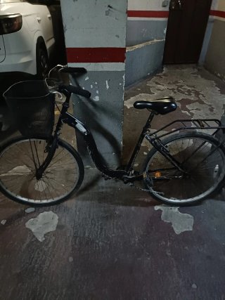 Bicicleta mujer con cesta y transportín