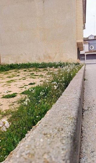 Terreno en venta en Quintanar del Rey