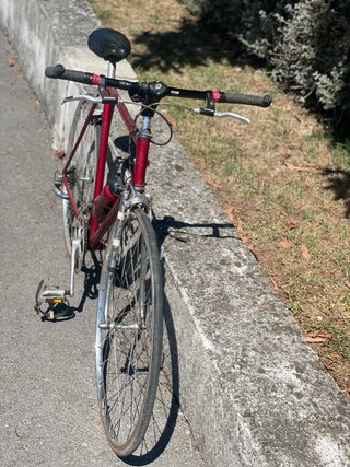Bicicleta Zeleris Roja