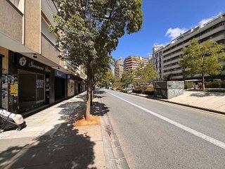 Local comercial en alquiler en Centro - Sagrario en Granada