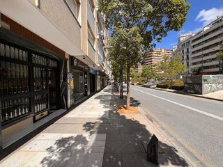 Local comercial en alquiler en Centro - Sagrario en Granada