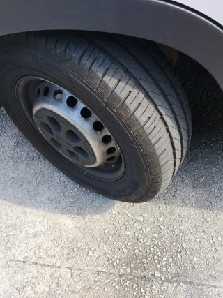 Furgoneta Iveco frigorífico