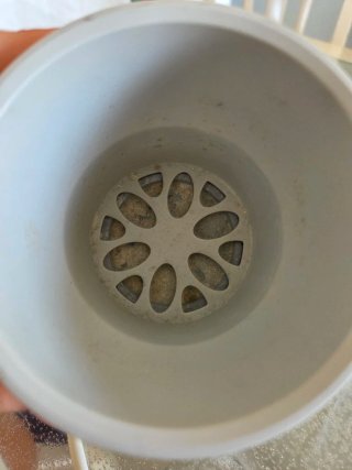 Scaldabiberon Philips Avent
