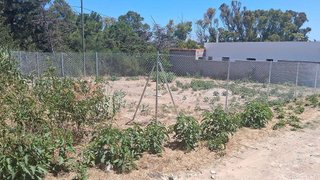 Terreno en venta en La Banda - Campo de Fútbol en Chiclana de la Frontera