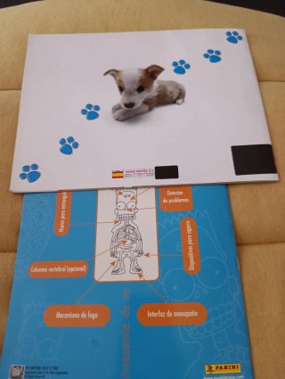 Lote 2 Álbumes: The Simpsons y Mundo Canino