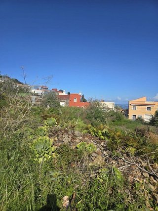 Terreno en venta en Guancha (La)