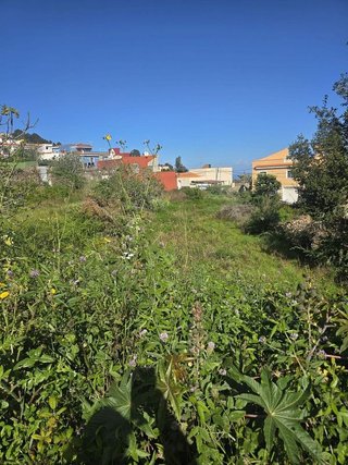 Terreno en venta en Guancha (La)
