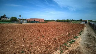 Terreno en venta en Sanlúcar la Mayor