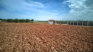 Terreno en venta en Sanlúcar la Mayor