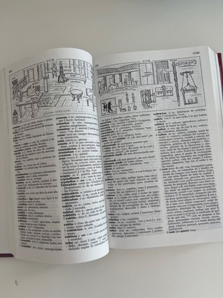 Diccionario Ilustrado Latín. Latino-Español/ Es...