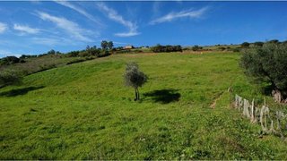 Terreno en venta en Almadén