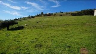 Terreno en venta en Almadén