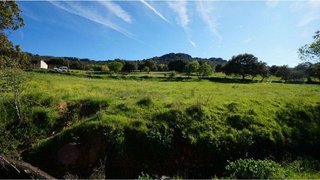 Terreno en venta en Almadén