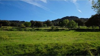 Terreno en venta en Almadén