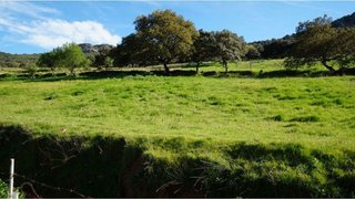 Terreno en venta en Almadén