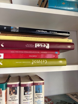 Variedad de enciclopedias y Diccionarios