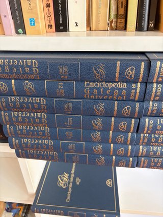 Variedad de enciclopedias y Diccionarios