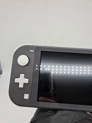 Nintendo Switch Lite Grigia + Caricatore 3176