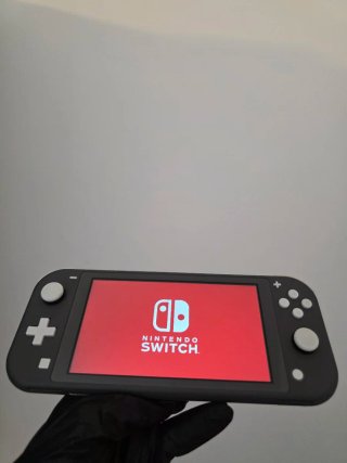 Nintendo Switch Lite Grigia + Caricatore 3176