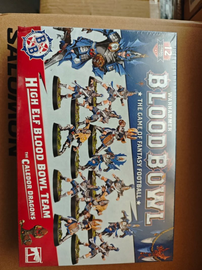 Pack Blood Bowl High Elf Team