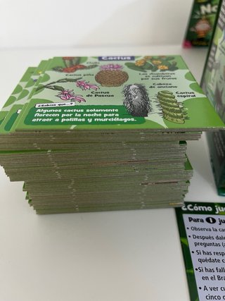 Juego BrainBox Naturaleza