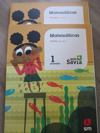 Libros matemáticas 1 primaria