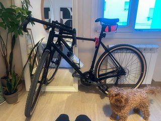 Bicicleta Ridley Karazy Taglia 54