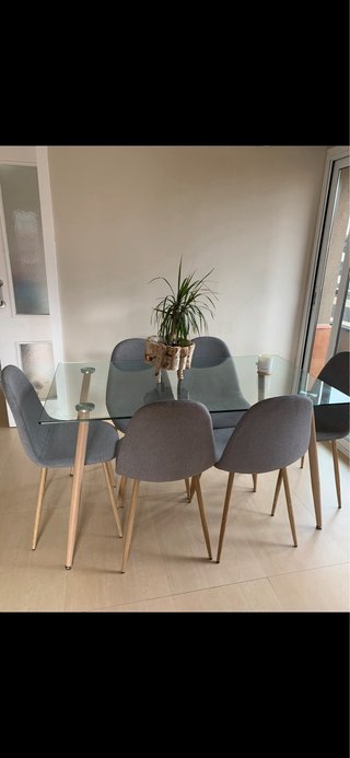 Vendo solo le 6 sedie da pranzo