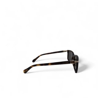 GAFAS DE SOL FERRAGAMO SF1110S MARRONES