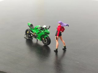 Kawasaki Ninja ZX-10R 2004 EVA 1/64