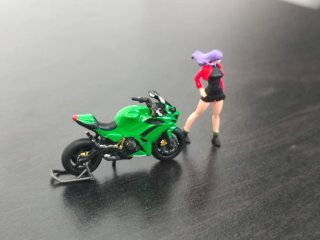 Kawasaki Ninja ZX-10R 2004 EVA 1/64