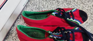 Zapatillas El Ganso Rojas y Azules