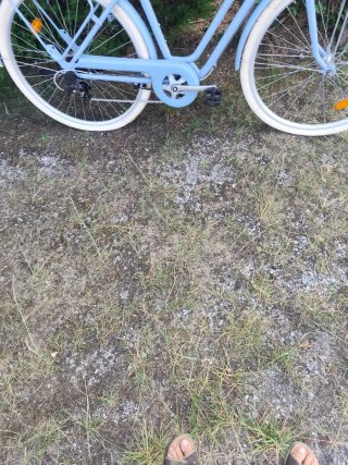 Bicicleta azul mujer con cesta