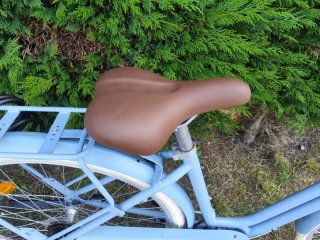 Bicicleta azul mujer con cesta