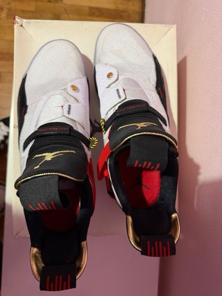 Air Jordan 33 Future Flight Talla 47