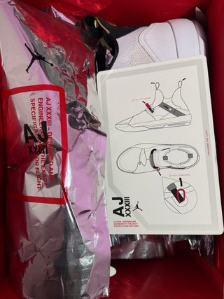 Air Jordan 33 Future Flight Talla 47