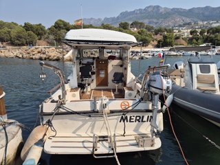 Embarcación Pesca Paseo Deva 800