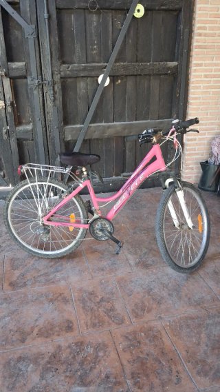 Bicicleta de paseo o montaña.