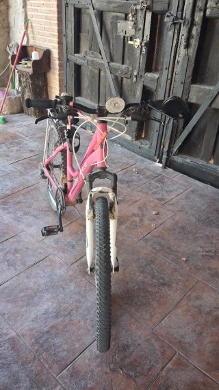 Bicicleta de paseo o montaña.