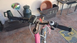 Bicicleta de paseo o montaña.