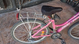 Bicicleta de paseo o montaña.
