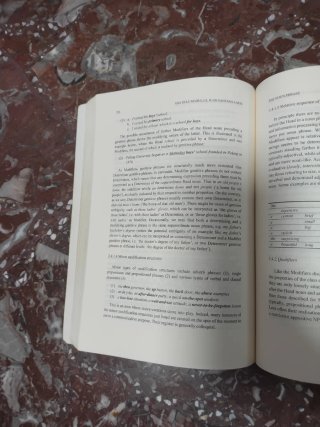 English Grammar in Focus The Phrase